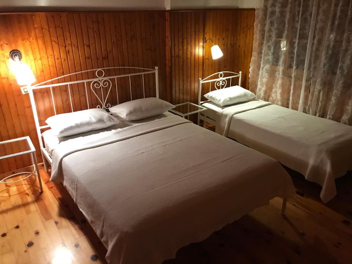 9Mouses Chasiotis Guest House Ampelakia ภายนอก รูปภาพ