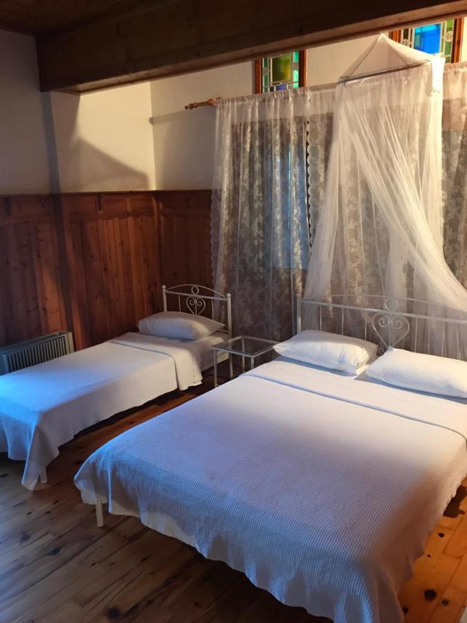 9Mouses Chasiotis Guest House Ampelakia ภายนอก รูปภาพ