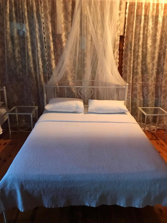 9Mouses Chasiotis Guest House Ampelakia ภายนอก รูปภาพ