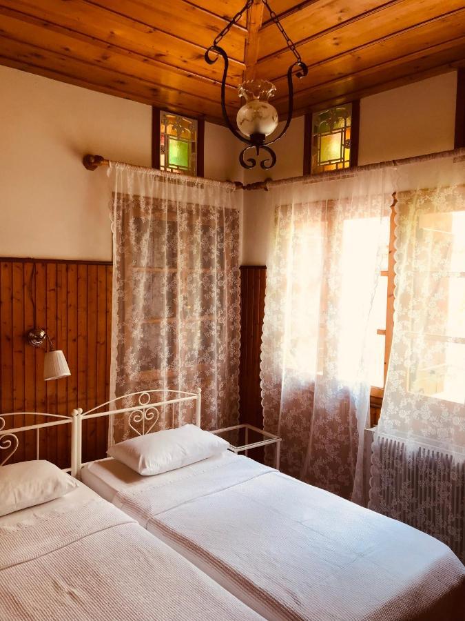 9Mouses Chasiotis Guest House Ampelakia ภายนอก รูปภาพ