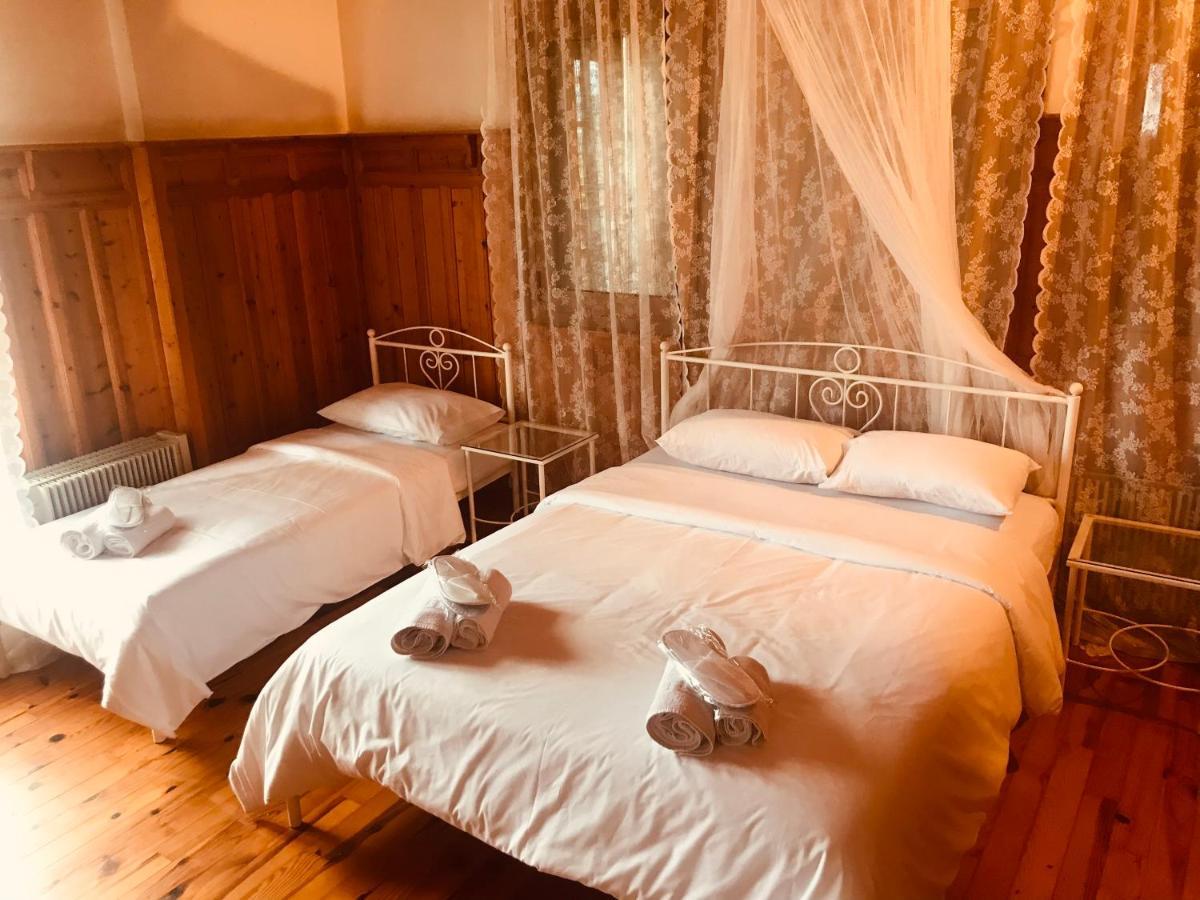 9Mouses Chasiotis Guest House Ampelakia ภายนอก รูปภาพ