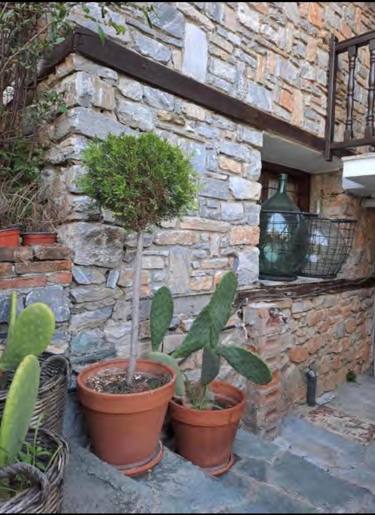9Mouses Chasiotis Guest House Ampelakia ภายนอก รูปภาพ