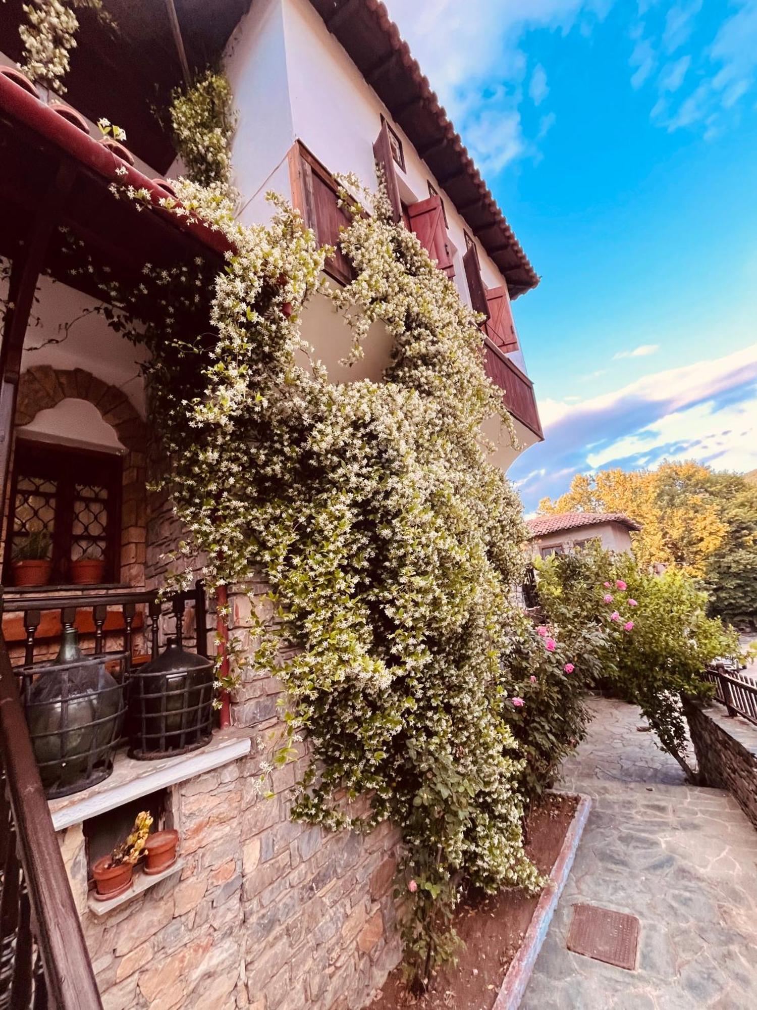 9Mouses Chasiotis Guest House Ampelakia ภายนอก รูปภาพ